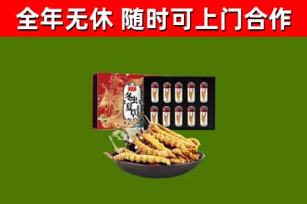 枣庄市烟酒回收冬虫夏草礼盒.jpg